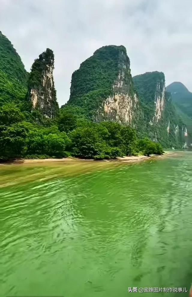 动物帮帮忙保卫家园